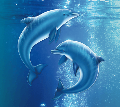 Bild der Haleon World Ocean Day Aktion